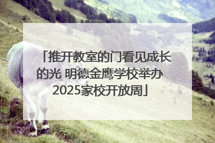 推开教室的门看见成长的光 明德金鹰学校举办2025家校开放周