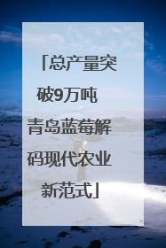 总产量突破9万吨 青岛蓝莓解码现代农业新范式