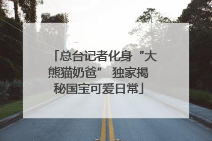 总台记者化身“大熊猫奶爸” 独家揭秘国宝可爱日常