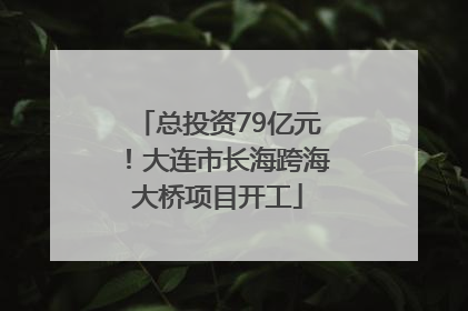 总投资79亿元！大连市长海跨海大桥项目开工