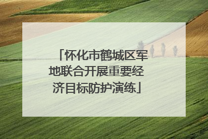 怀化市鹤城区军地联合开展重要经济目标防护演练