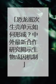 恐龙蛋次生壳单元如何形成？中外最新合作研究揭示生物成因机制