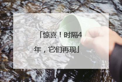 惊喜！时隔4年，它们再现