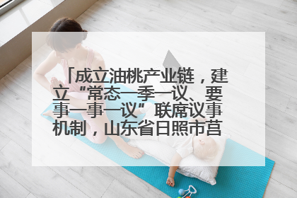 成立油桃产业链，建立“常态一季一议、要事一事一议”联席议事机制，山东省日照市莒县果庄镇——13个党小组“全周期”育果