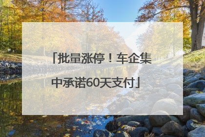 批量涨停！车企集中承诺60天支付