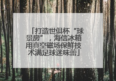 打造世俱杯“球景房”，海信冰箱用真空磁场保鲜技术满足球迷味蕾