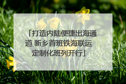 打造内陆便捷出海通道 新乡首班铁海联运定制化班列开行