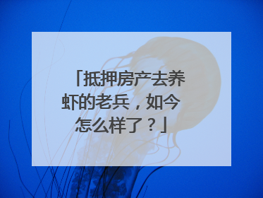 抵押房产去养虾的老兵，如今怎么样了？