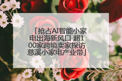 抢占AI智能小家电出海新风口 超100家跨境卖家探访慈溪小家电产业带