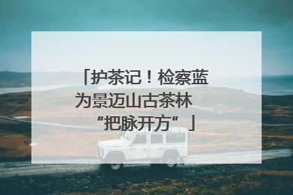 护茶记！检察蓝为景迈山古茶林 “把脉开方”
