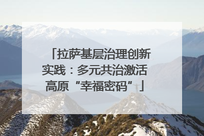 拉萨基层治理创新实践：多元共治激活高原“幸福密码”