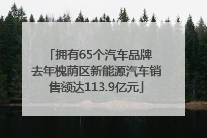 拥有65个汽车品牌 去年槐荫区新能源汽车销售额达113.9亿元