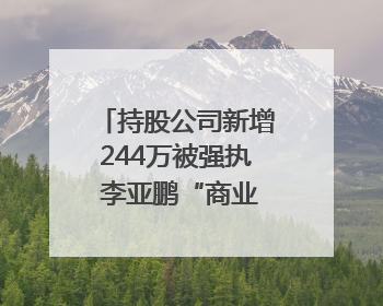持股公司新增244万被强执 李亚鹏“商业版图”再陷泥潭？｜科技观察