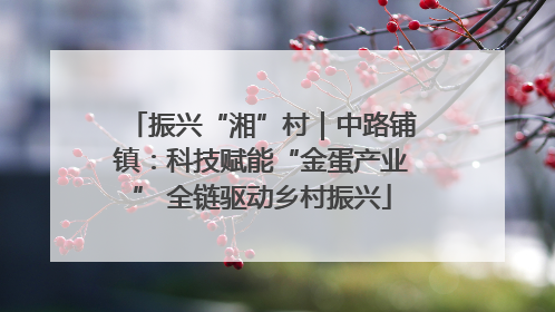振兴“湘”村｜中路铺镇：科技赋能“金蛋产业” 全链驱动乡村振兴