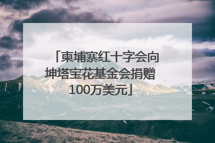 柬埔寨红十字会向坤塔宝花基金会捐赠100万美元