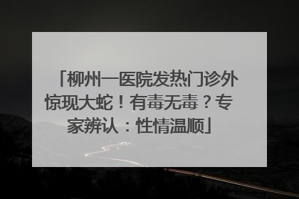 柳州一医院发热门诊外惊现大蛇！有毒无毒？专家辨认：性情温顺