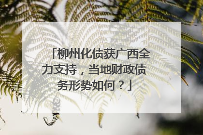 柳州化债获广西全力支持，当地财政债务形势如何？