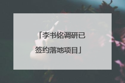 李书铭调研已签约落地项目