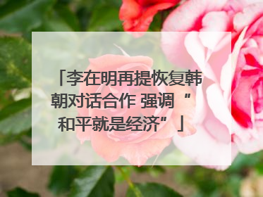 李在明再提恢复韩朝对话合作 强调“和平就是经济”