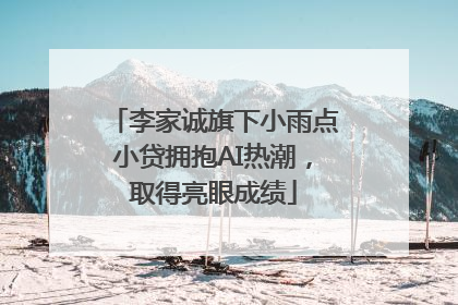 李家诚旗下小雨点小贷拥抱AI热潮，取得亮眼成绩
