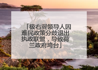 极右翼领导人因难民政策分歧退出执政联盟，导致荷兰政府垮台