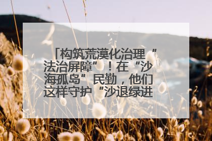 构筑荒漠化治理“法治屏障”！在“沙海孤岛”民勤，他们这样守护“沙退绿进”的生态奇迹