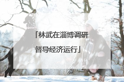 林武在淄博调研督导经济运行