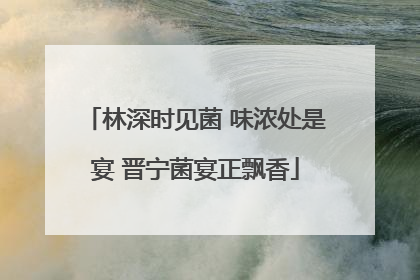 林深时见菌 味浓处是宴 晋宁菌宴正飘香