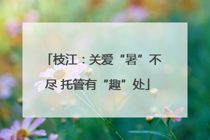 枝江：关爱“暑”不尽 托管有“趣”处