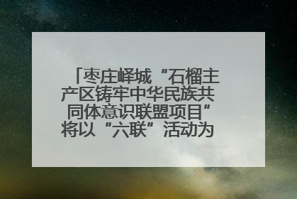 枣庄峄城“石榴主产区铸牢中华民族共同体意识联盟项目”将以“六联”活动为抓手深化品牌建设