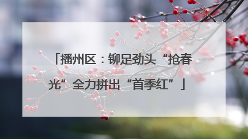 播州区：铆足劲头“抢春光”全力拼出“首季红”