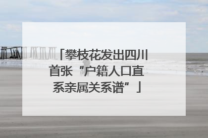 攀枝花发出四川首张“户籍人口直系亲属关系谱”