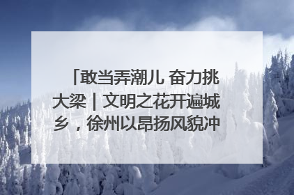 敢当弄潮儿 奋力挑大梁｜文明之花开遍城乡，徐州以昂扬风貌冲刺“万亿之城”