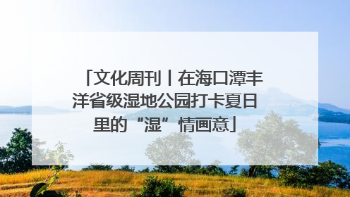 文化周刊丨在海口潭丰洋省级湿地公园打卡夏日里的“湿”情画意