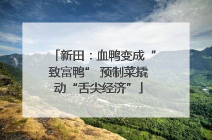 新田：血鸭变成“致富鸭” 预制菜撬动“舌尖经济”