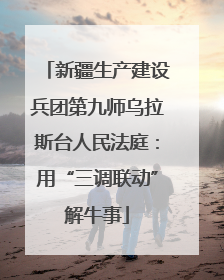 新疆生产建设兵团第九师乌拉斯台人民法庭：用“三调联动”解牛事