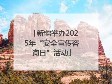 新疆举办2025年“安全宣传咨询日”活动