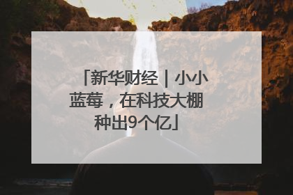 新华财经｜小小蓝莓，在科技大棚种出9个亿