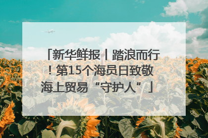 新华鲜报丨踏浪而行！第15个海员日致敬海上贸易“守护人”
