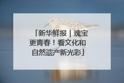 新华鲜报｜瑰宝更青春！看文化和自然遗产新光彩