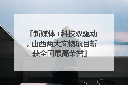 新媒体+科技双驱动，山西两大文物项目斩获全国最高荣誉