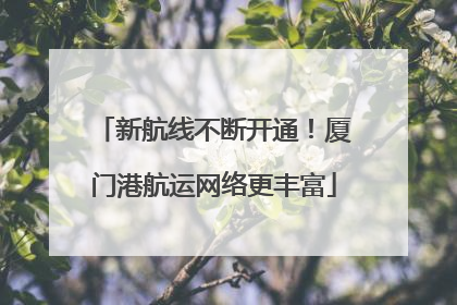 新航线不断开通！厦门港航运网络更丰富