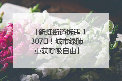 新虹街道拆违 1307㎡！城市绿肺重获呼吸自由