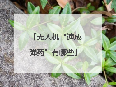 无人机“速成弹药”有哪些