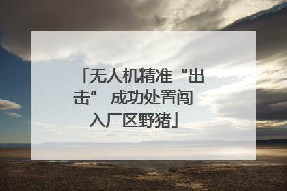 无人机精准“出击” 成功处置闯入厂区野猪