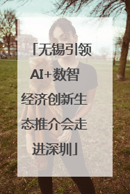 无锡引领AI+数智经济创新生态推介会走进深圳