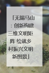 无锡马山：创新构建三维文明矩阵 绘就乡村振兴文明新图景