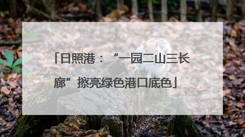 日照港：“一园二山三长廊”擦亮绿色港口底色