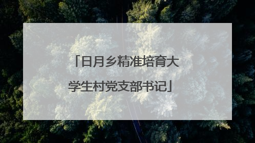 日月乡精准培育大学生村党支部书记