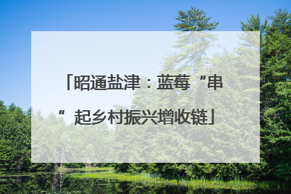 昭通盐津：蓝莓“串”起乡村振兴增收链